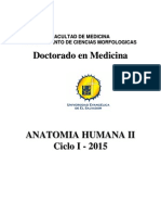 Manual Anatomía Humana II - Doctorado en Medicina Ciclo I - 2015 PDF