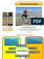 Clase 2 Microbiologia Aplicada A La Mineria