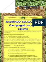 Macerado