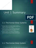 Unit 1 Summary