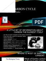 Carbon Cycle Presentation