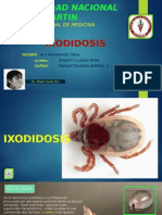  IXODIDOSIS by Shanti Claudy