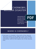 Chernobyl Nuclear Disaster