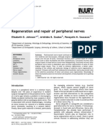 Regeneration and Repair of Peripheral Nerves: Elizabeth O. Johnson, Aristides B. Zoubos, Panayotis N. Soucacos