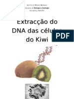 Extracção Do DNA Das Células Do Kiwi