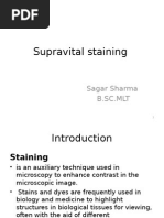 Supravital Staining