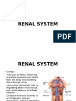 Renal System 1 PowerPoint Presentation