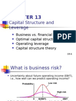 Capital Structure and Leverage