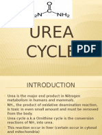 Ureacycle 02