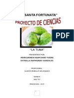 Proyecto de La Tuna 2015