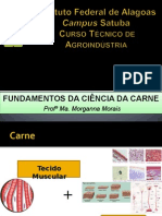 Aula 2 - Fundamentos Da Ciência Da Carne