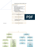 Pathophysiology of Diabetes Mellitus Type 1