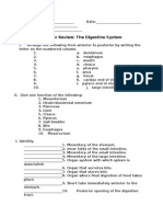 Questions For Review: The Digestive System