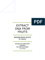 How To Extract DNA From Fruits