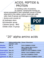 Amino Acid