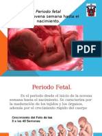 Embriologia - Periodo Fetal