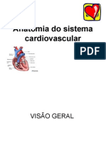 Anatomia Do Sistema Cardiovascular