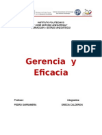 Gerencia y Eficacia