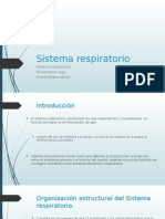 Sistema Respiratorio.