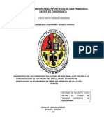 Tesis Diagnostico de Variedades de Maiz