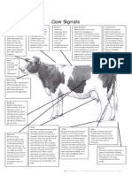 Dairy Cow Scoring Cards