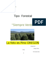 Tipo Forestal Siempre Verde