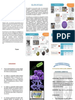 Triptico - Trabajo de Investigación Microbiología