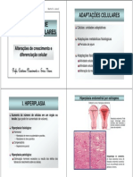 Morfo IV - Aula 2 - Mecanismos de Adaptações Celulares
