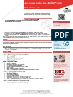 BPMBZ Formation Bizagui Modeliser BPMN PDF