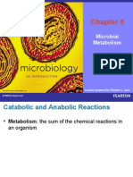 Microbial Metabolism: Lectures Prepared by Christine L. Case Lectures Prepared by Christine L. Case