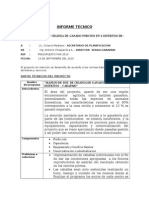 Informe Tecnico Porcinos