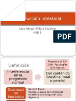 Obstrucción Intestinal