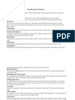 Cell Wall: Vocabulary Answers