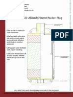 Inflatable Abandonment Packer Plug