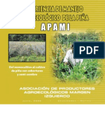 Piña Agroecologica