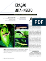 Interação Planta Inseto