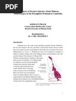 The Impact of Invasive Species Mimosa Pigra in Cambodia