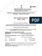 Relatório Parcial - PIBIC GEPA PDF