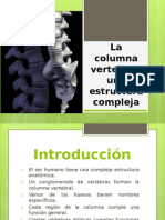 Columna Vertebral