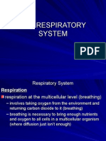 Respiratory System