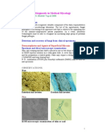 Laboratory Diagnostic in Medical Mycology