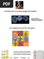 1 Clase Introducción A La Neurología Del Adulto FINAL