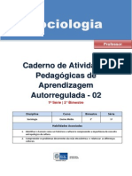 Apostila Sociologia 1 Ano 2 Bimestre Professor