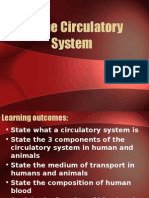 Circulatory System