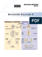 BM-11-13 Division Celular I PDF