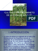 Cultivo y Procesamineto de La Caña de