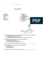 ST Biology Nervous System IEP Test