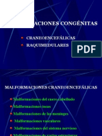 Malformaciones Congenitas