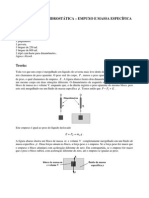 Experimento Hidrostatica