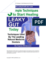 3 Leaky Gut Techniques